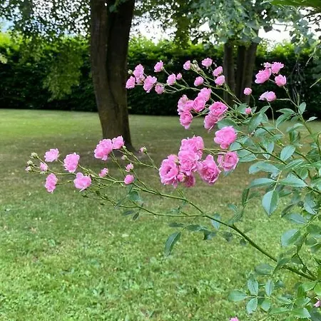 Giulia - Bisalta شقة Peveragno