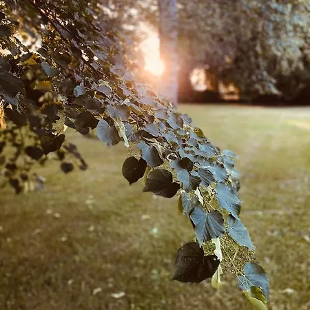 Giulia - Bisalta Appartement *