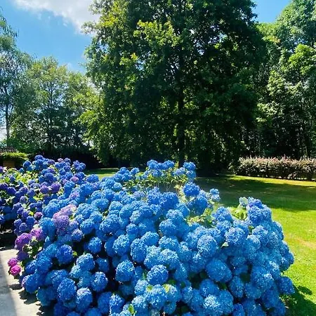 شقة Giulia - Bisalta *