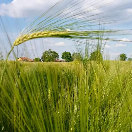 Giulia - Bisalta Appartement Peveragno