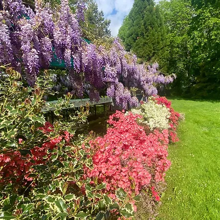 Giulia - Bisalta Appartement *