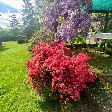 Giulia - Bisalta Peveragno