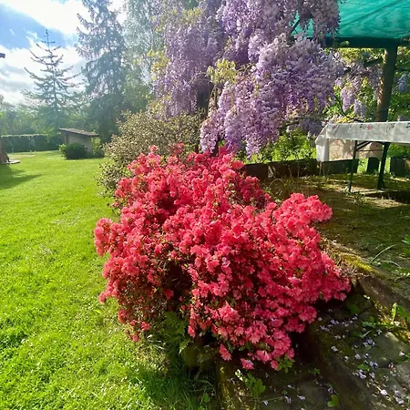 Giulia - Bisalta Peveragno