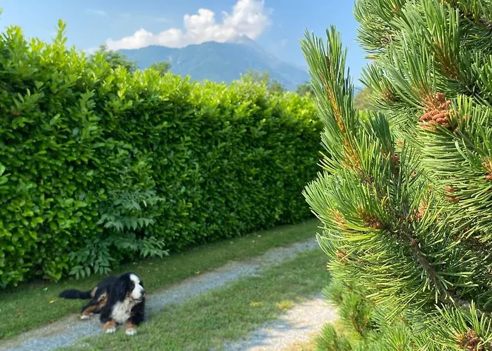 Giulia - Bisalta Peveragno