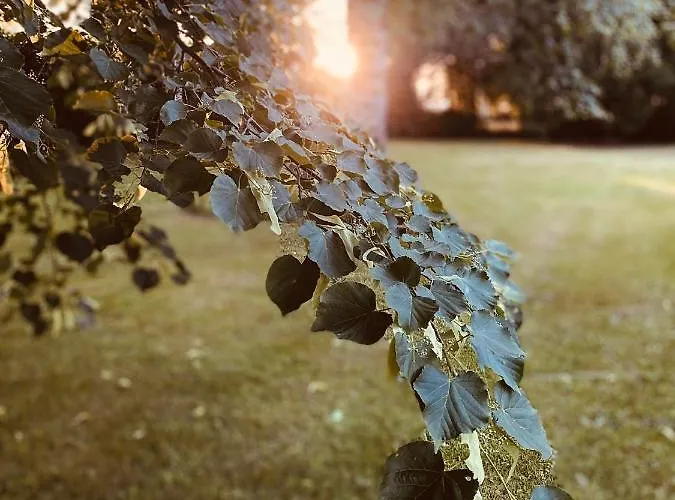 Giulia - Bisalta Apartamento *