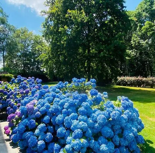 Apartamento Giulia - Bisalta *