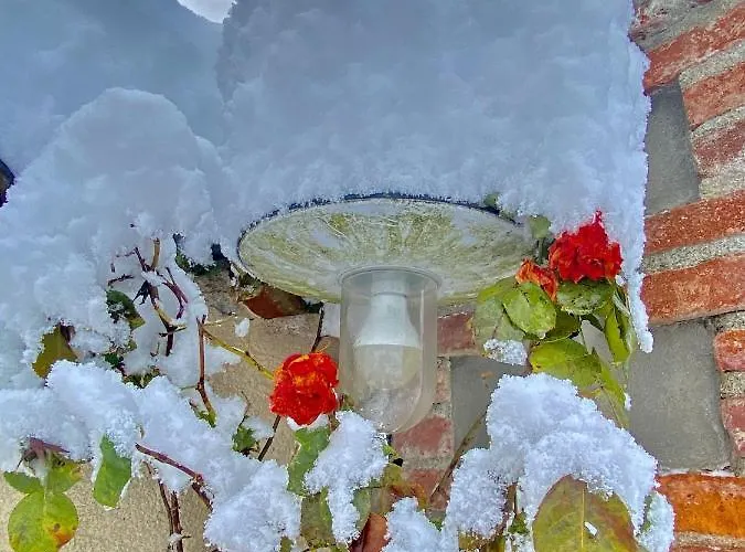 Giulia - Bisalta Peveragno