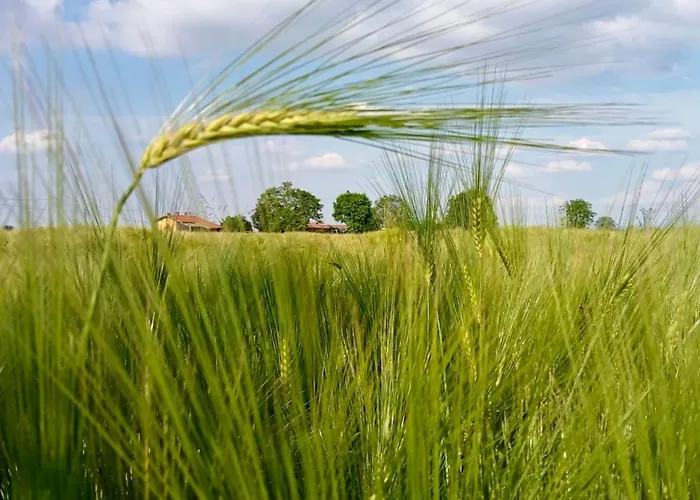 Giulia - Bisalta Apartamento Peveragno