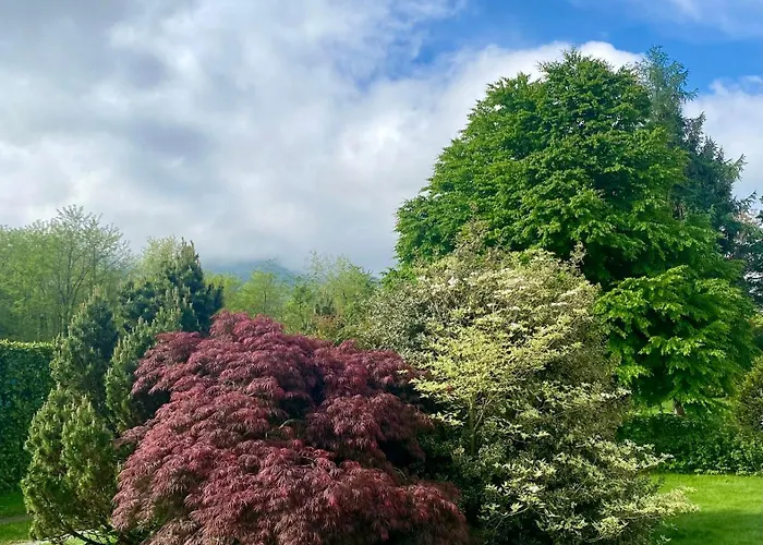 Giulia - Bisalta * Peveragno