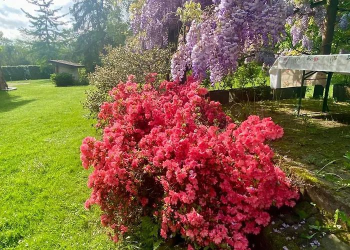 Giulia - Bisalta Peveragno